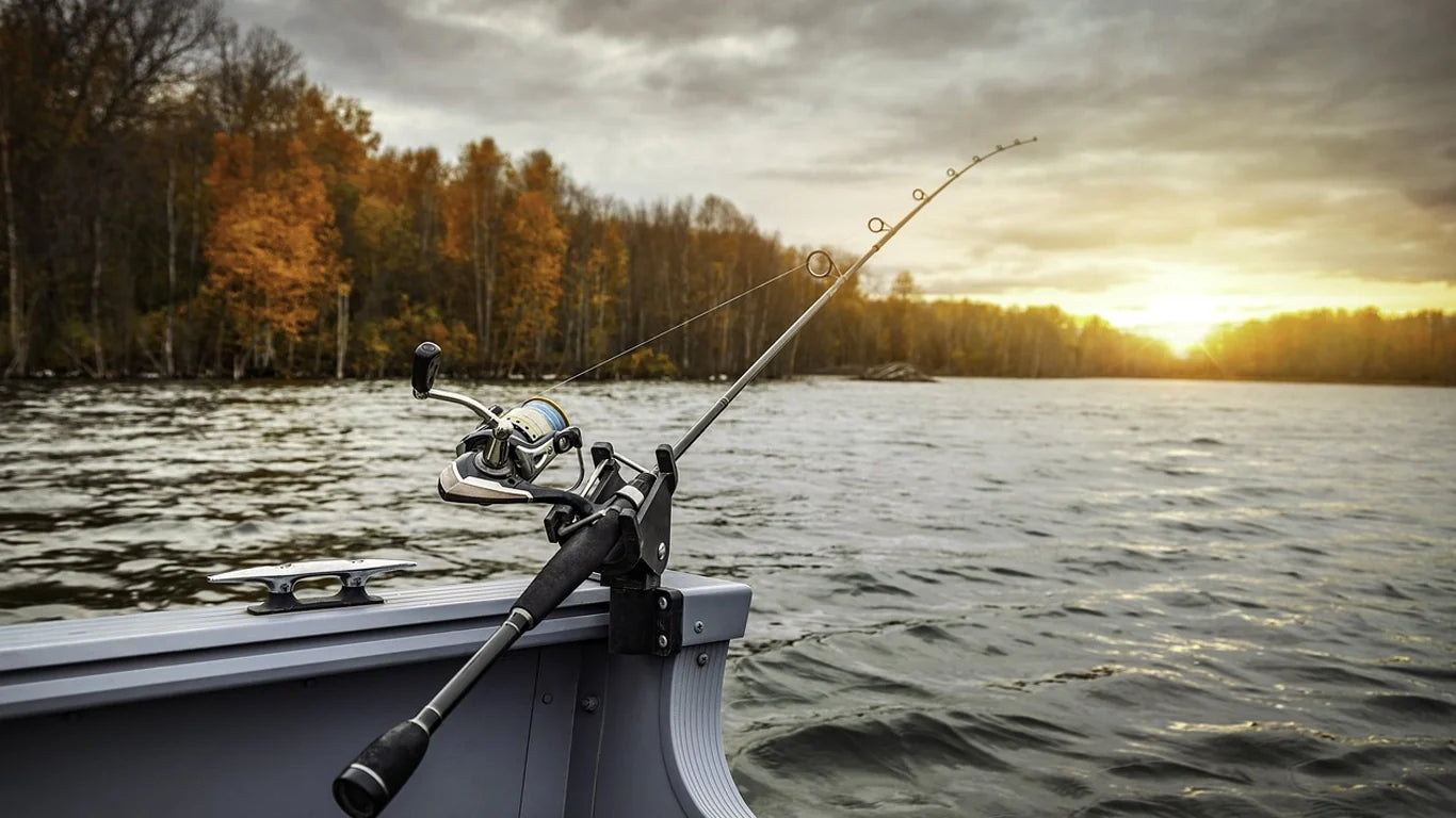 Favorite Fishing: High-Performance Rods & Reels