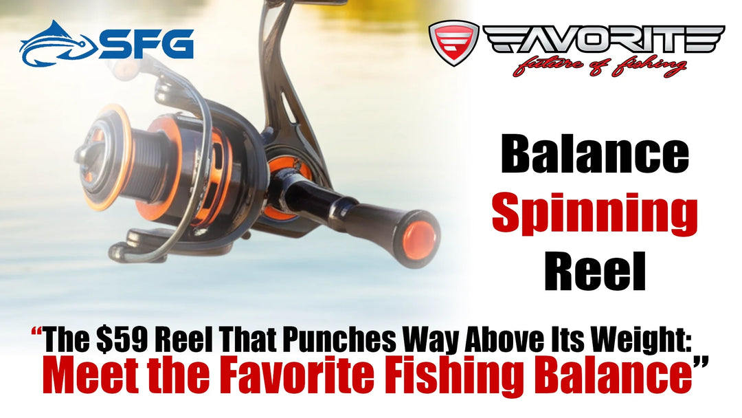 Top Pick: Balance Spinning Reel for Pro-Level Performance