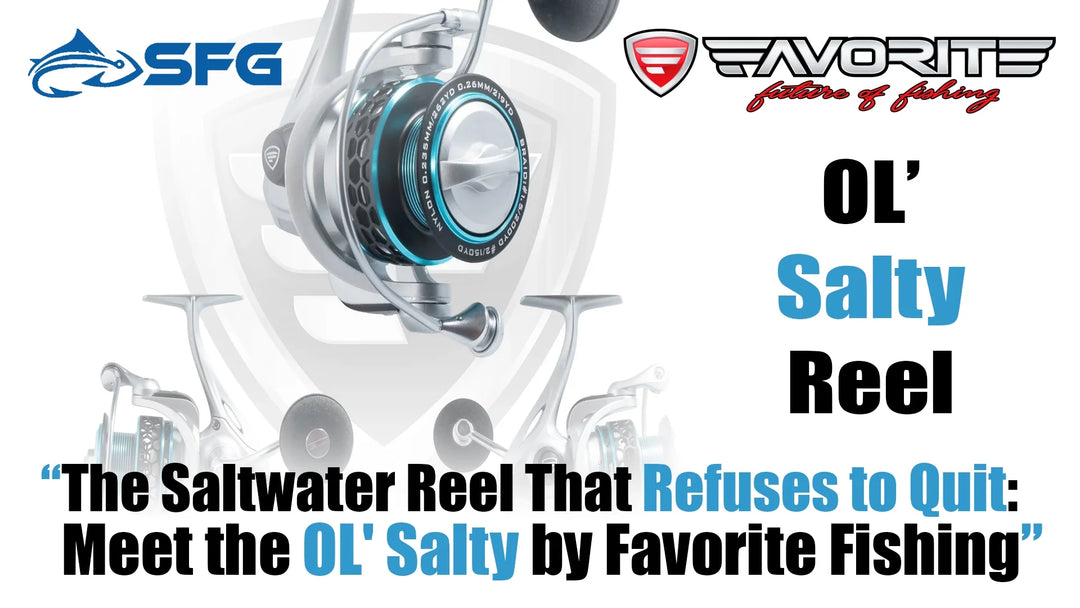 OL' Salty: The Best Saltwater Reel Under $100