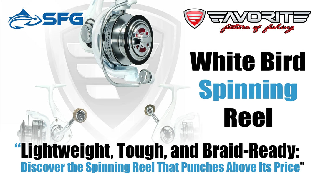 White Bird Spinning Reel: Smooth, Strong & Under $60