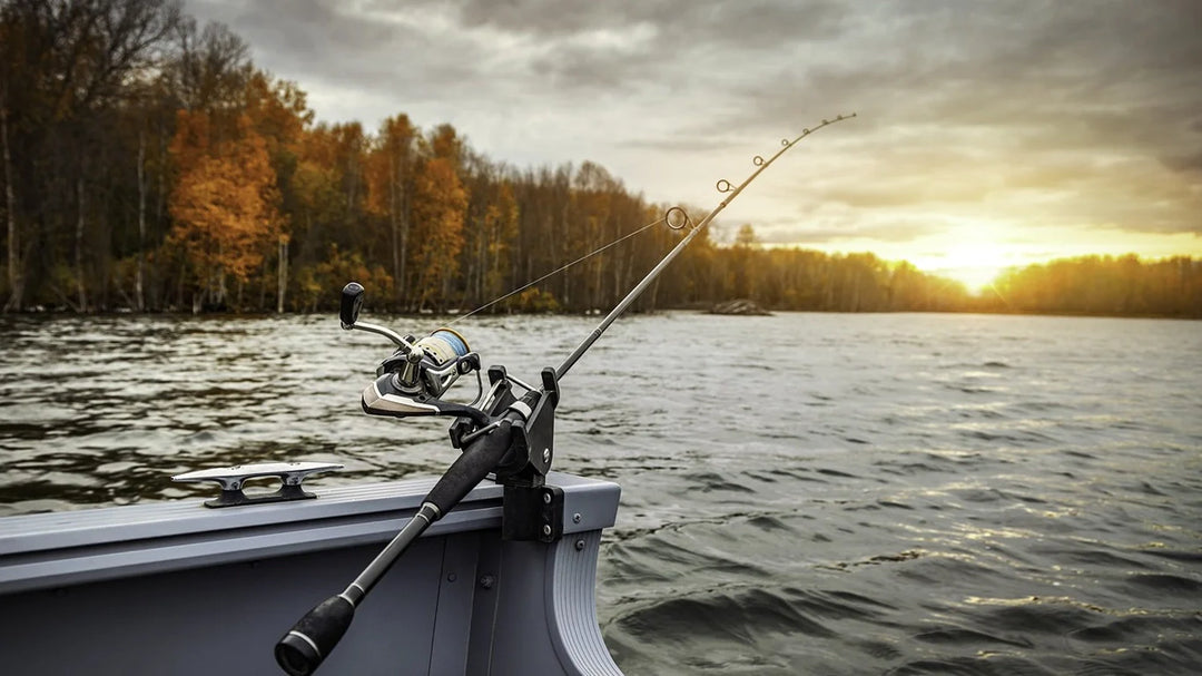 Favorite Fishing: High-Performance Rods & Reels