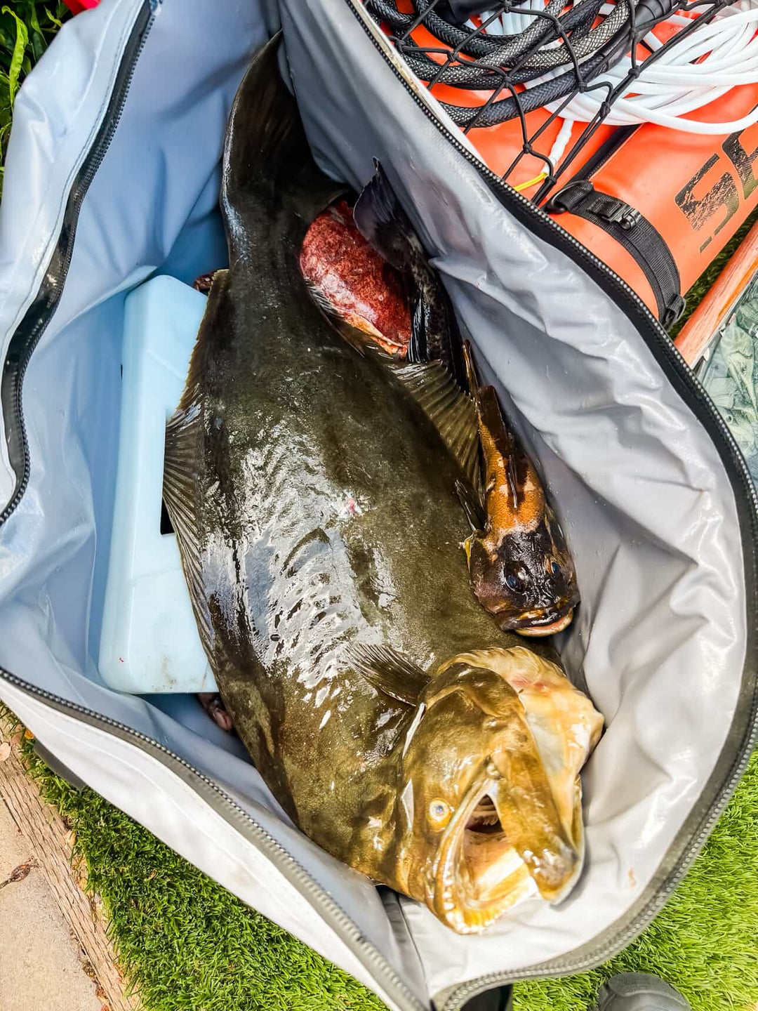 Buffalo Gear 45QT fish cooler bag with flat bottom, insulated fish storage bag for keeping catches fresh.