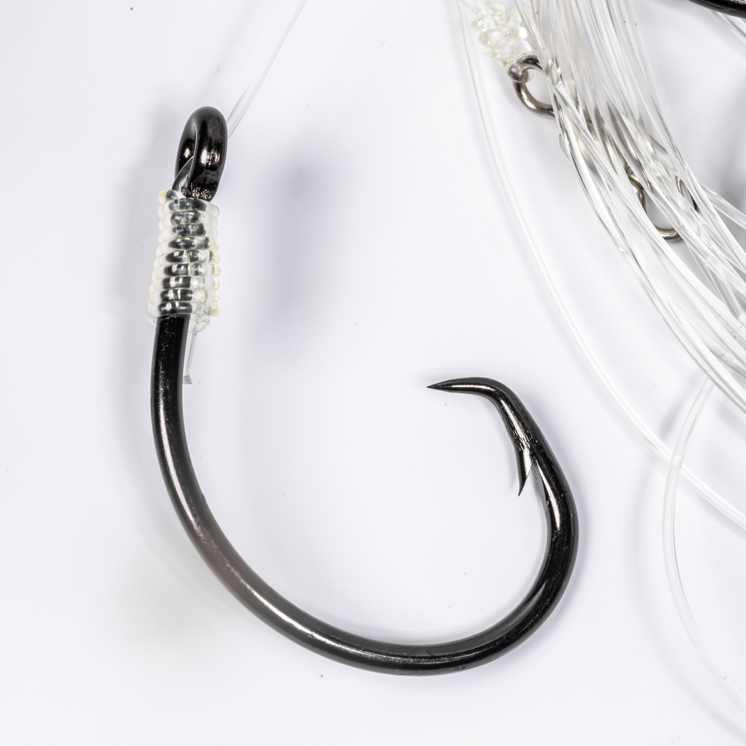 BlacktipH Mustad Live Bait Rigs with 7/0 Black Nickel Circle Hook and Premium Rosco Swivel - Medium 5 Pack