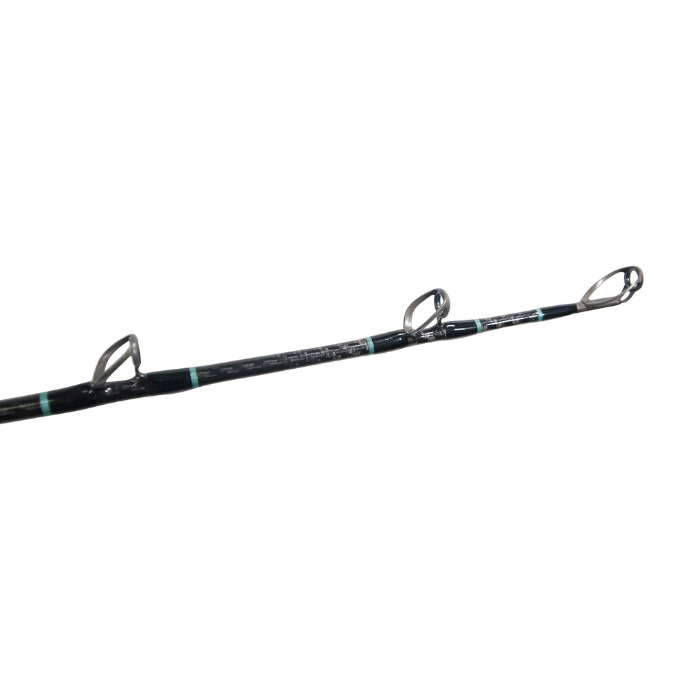 BlacktipH 30-50lb standup fishing rod with carbon fiber wrap, designed for saltwater fishing, featuring a durable, lightweight construction.