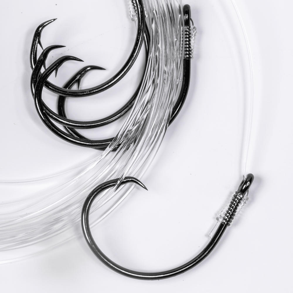 BlacktipH Small Live Bait Rigs with 30lb fluorocarbon and 5/0 circle hooks, displayed in a 5-pack for fishing.