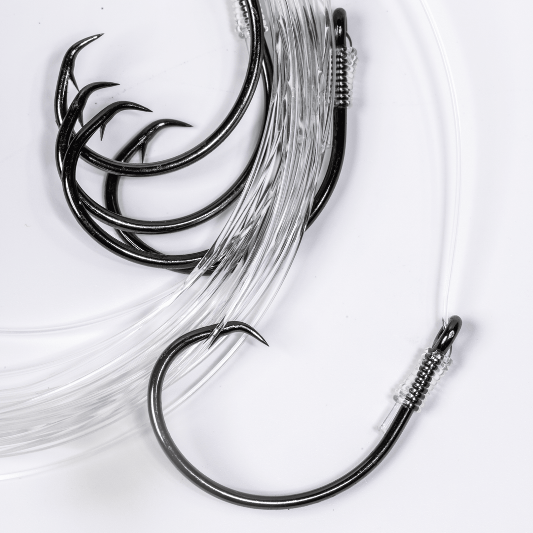 BlacktipH Small Live Bait Rigs with 30lb fluorocarbon and 5/0 circle hooks, displayed in a 5-pack for fishing.