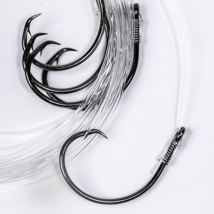 BlacktipH Small Live Bait Rigs with 30lb fluorocarbon and 5/0 circle hooks, displayed in a 5-pack for fishing.