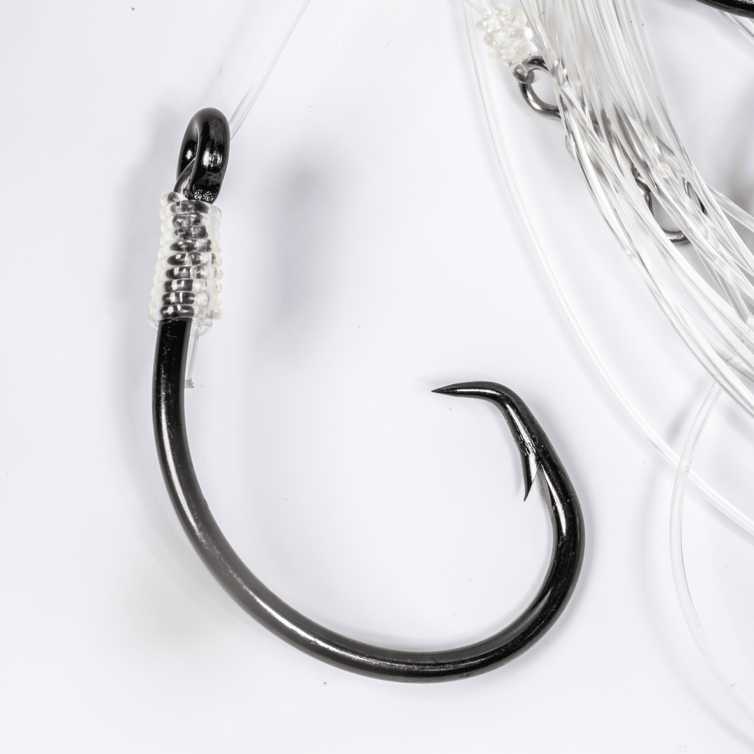 BlacktipH Mustad Live Bait Rig with 7/0 circle hook in medium size, featuring durable rig components for fishing.