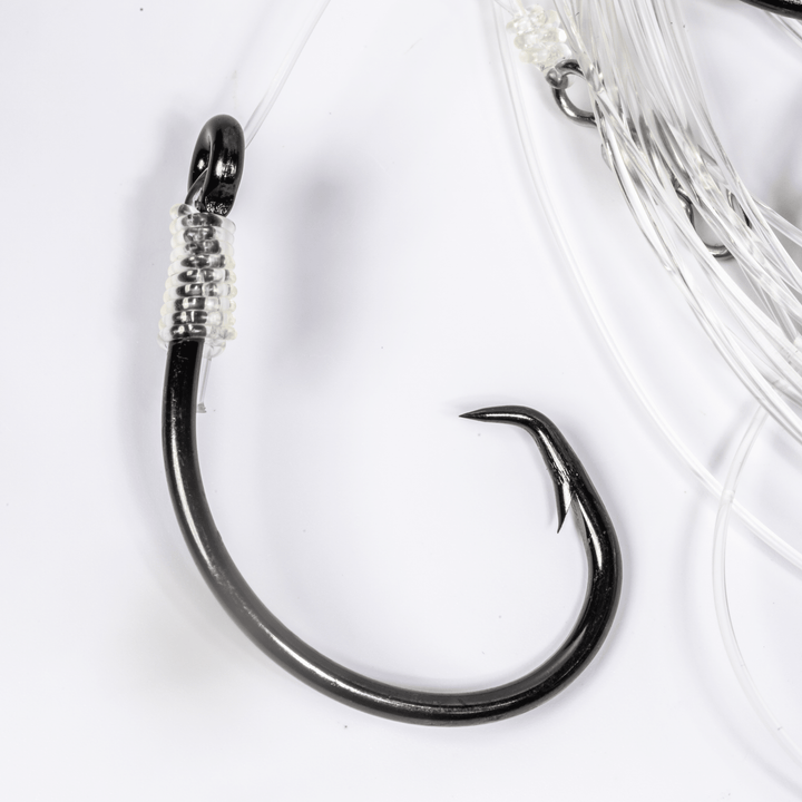 BlacktipH Mustad Live Bait Rig with 7/0 circle hook in medium size, featuring durable rig components for fishing.