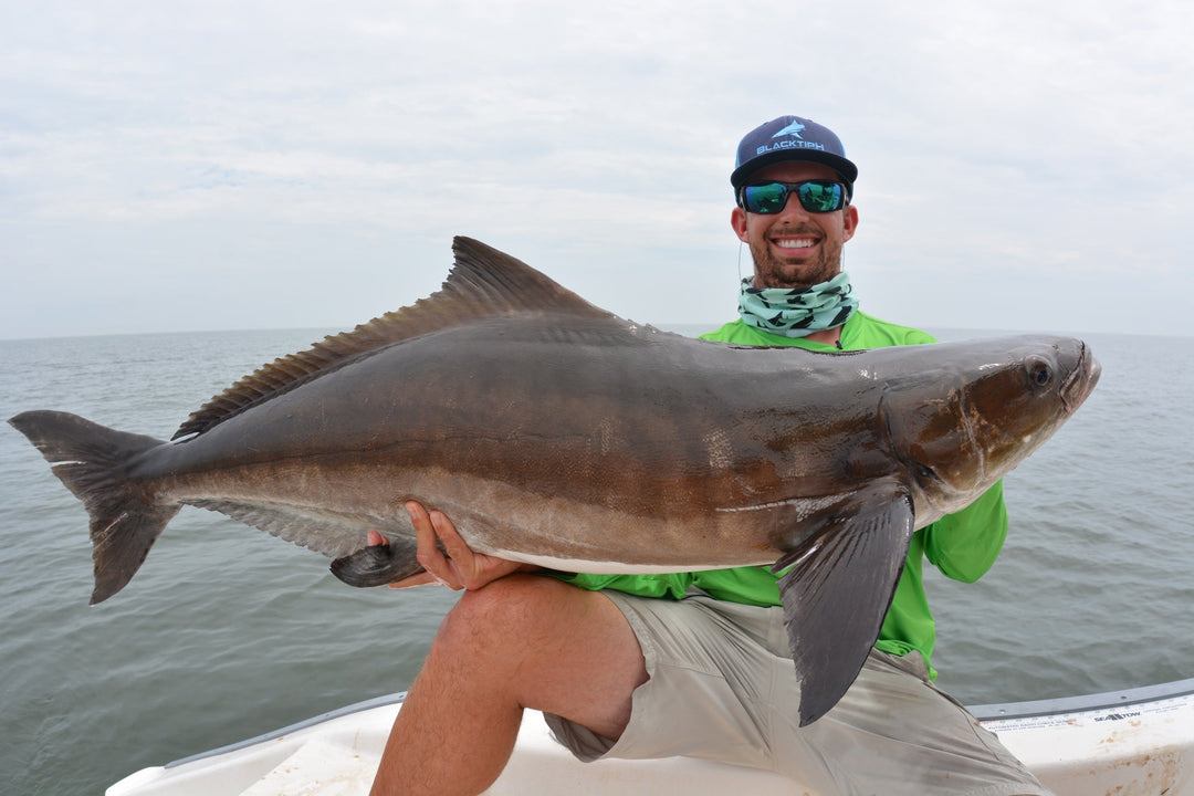 BlacktipH Mustad Live Bait Rig with 7/0 circle hook in medium size, featuring durable black rig for fishing.