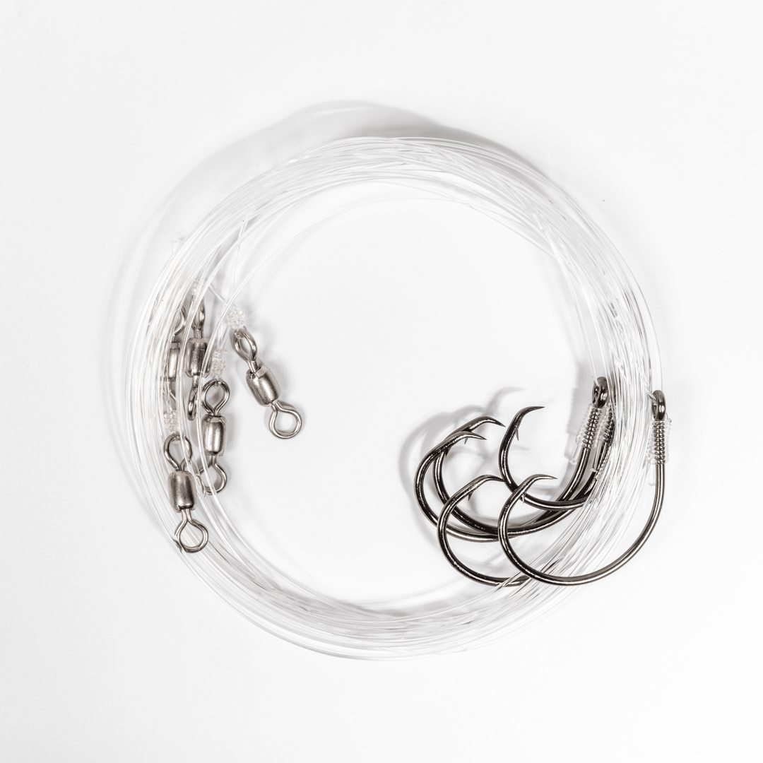 BlacktipH Small Live Bait Rigs (5 Pack) | 30lb Fluorocarbon & 5/0 Circle Hooks
