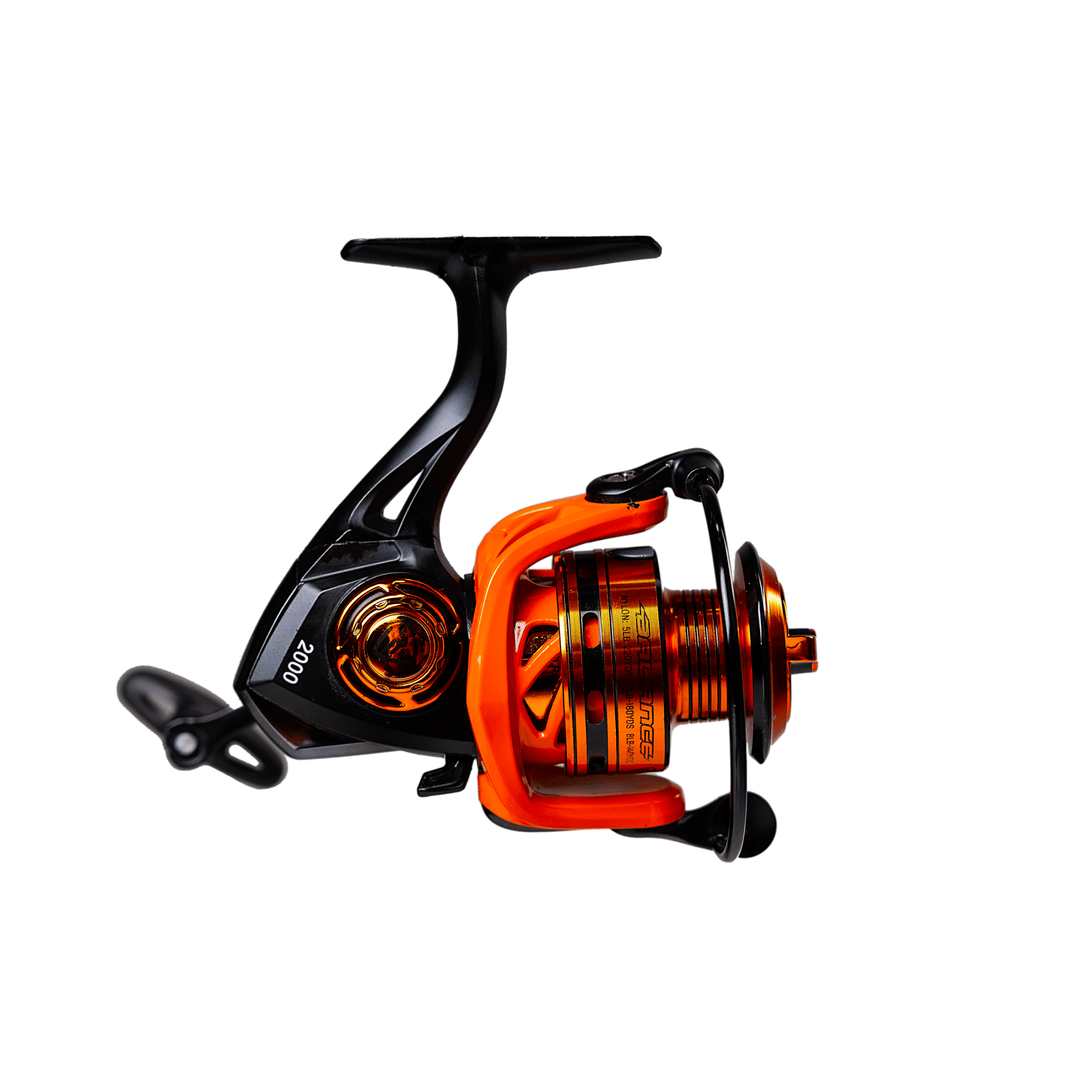 Favorite Fishing Balance Spinning Reel in retail packaging, showcasing the spinning reel with brand logo and product details.