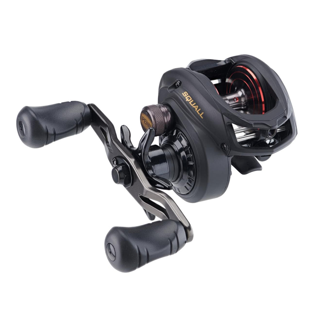 Penn Squall Low Profile Baitcast Reel, black fishing reel with handle and spool, designed for saltwater and freshwater fishing.