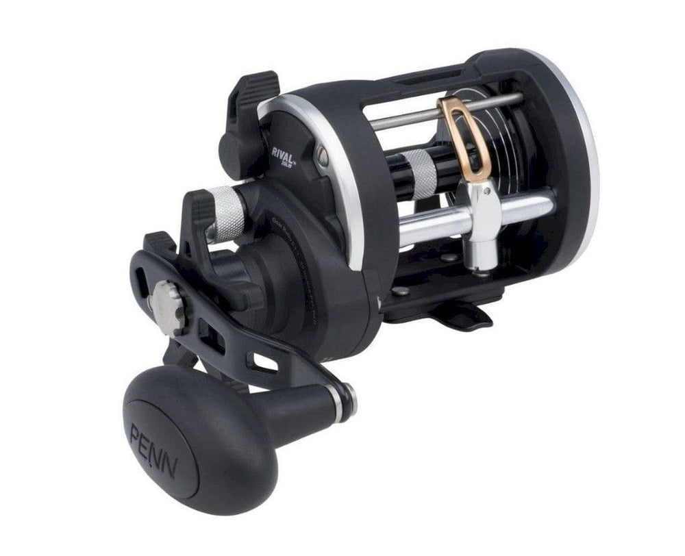 Fisherman's Headquarters Penn Rival Level Wind conventional reel with handle and spool, black and silver design for saltwater fishing.