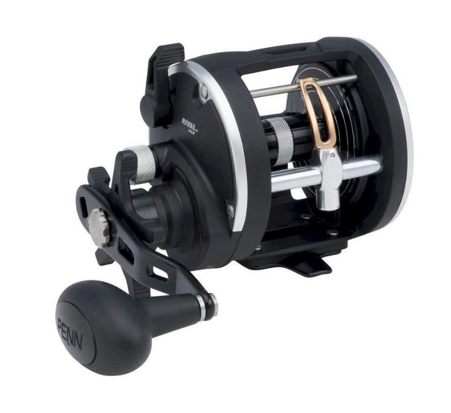 Fisherman's Headquarters Penn Rival Level Wind conventional fishing reel with spool and handle, black and silver finish.