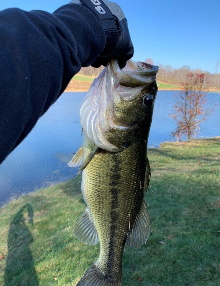 Glacier Outdoor Elite Angler gloves in black, designed for fishing and outdoor activities, featuring durable material and secure fit.