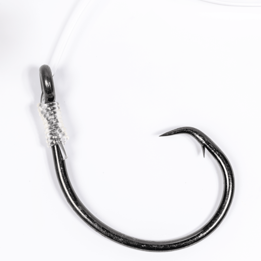 Large Live Bait Rigs (5 Pack) | BlacktipH x Mustad 10/0 Hooks