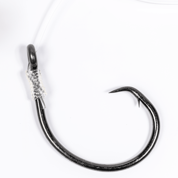 Large Live Bait Rigs (5 Pack) | BlacktipH x Mustad 10/0 Hooks