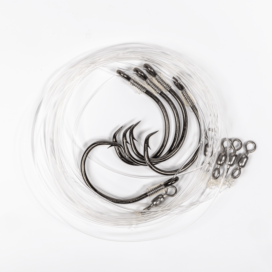 Large Live Bait Rigs (5 Pack) | BlacktipH x Mustad 10/0 Hooks