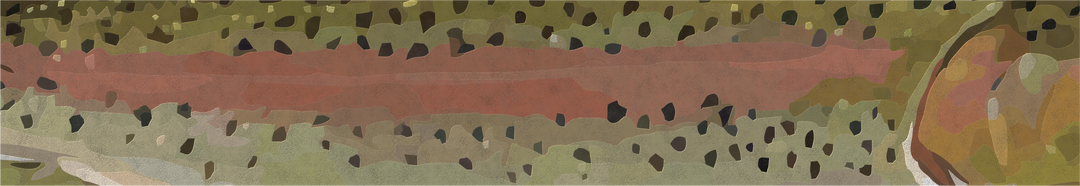 2024 Catch Cam Net Handles