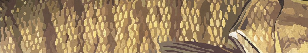 2024 Catch Cam Net Handles